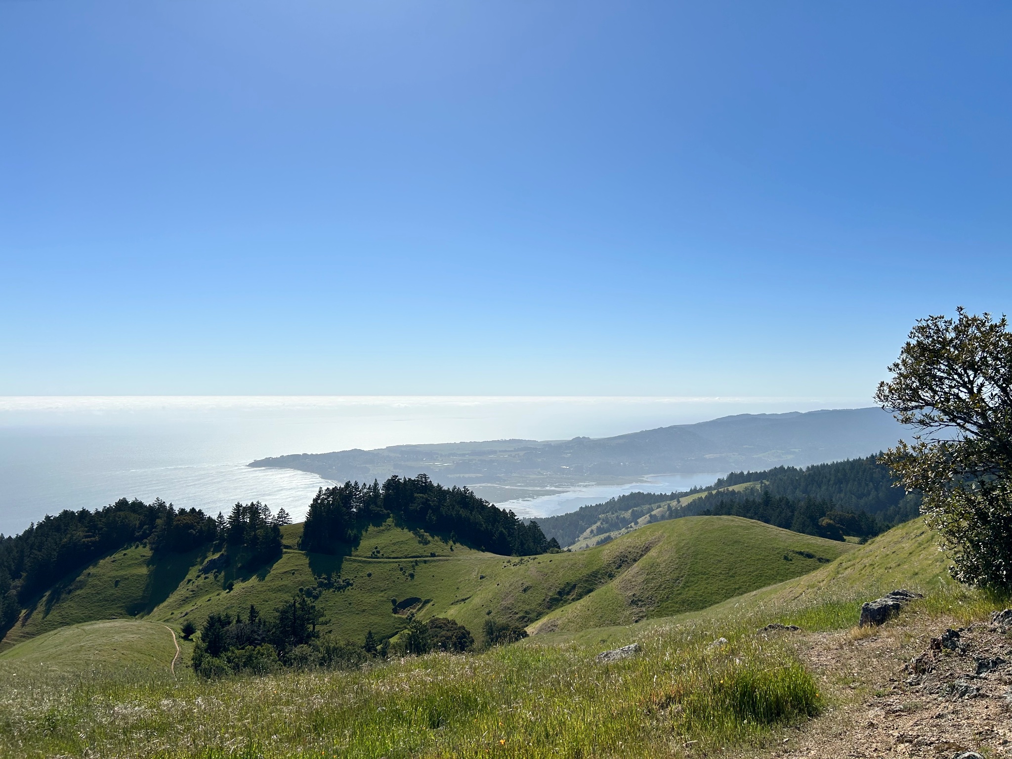 Rolling green hills and coastline — the land that will become home